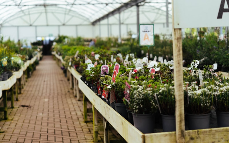 Bulk plant supply for events and projects