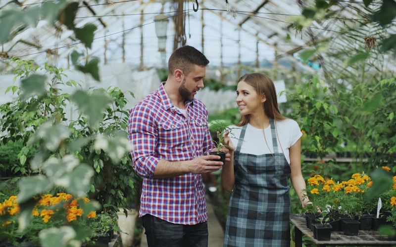 Expert garden consultation and plant care advice