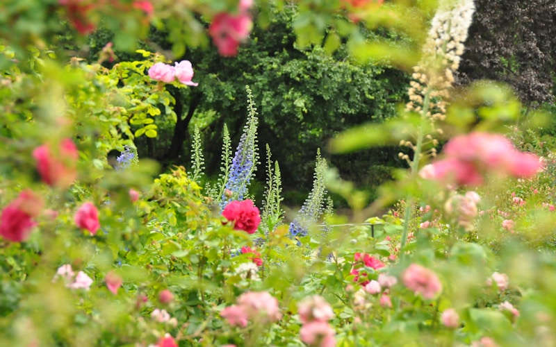 Professional landscape design and installation